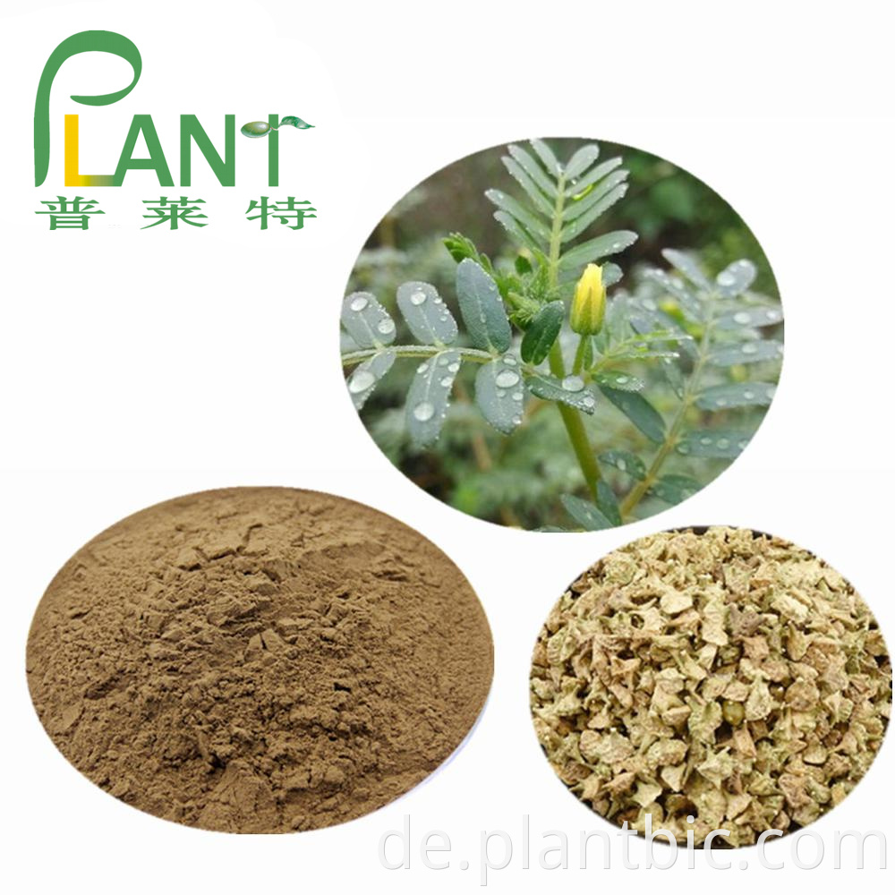 Tribulus Terrestris Extract Saponin